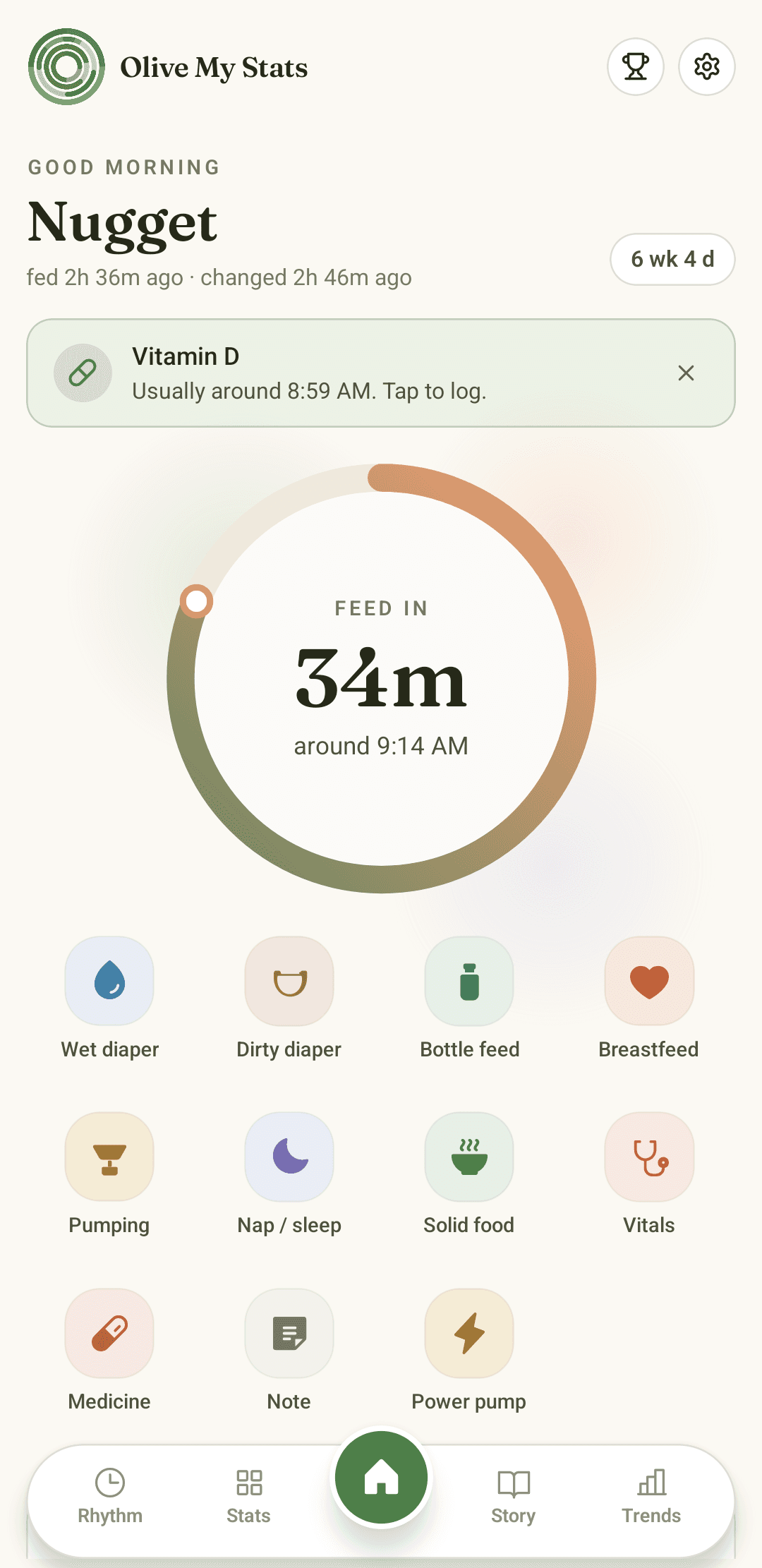 Olive My Stats Home pane