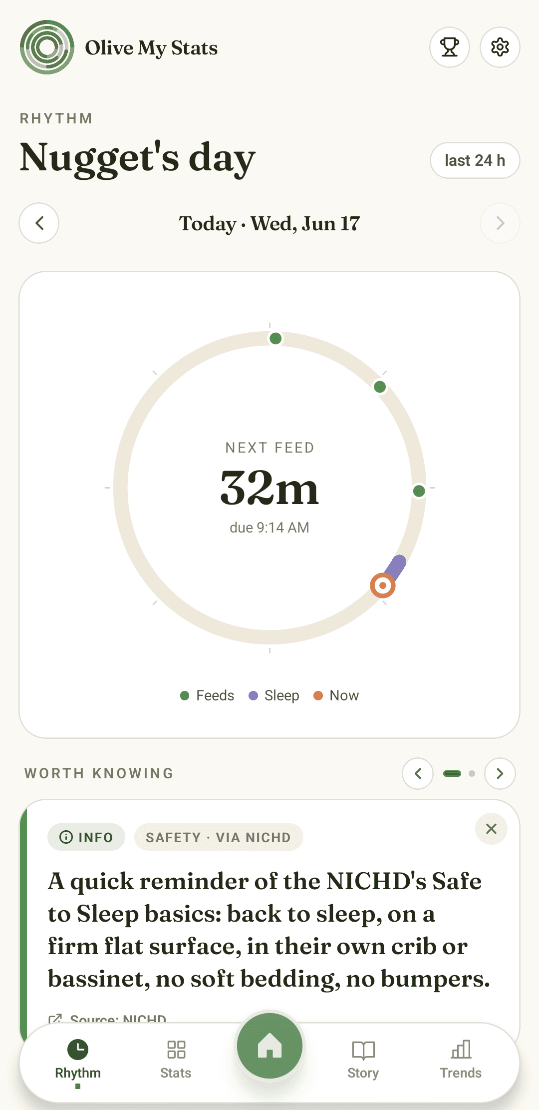 Olive My Stats Rhythm pane